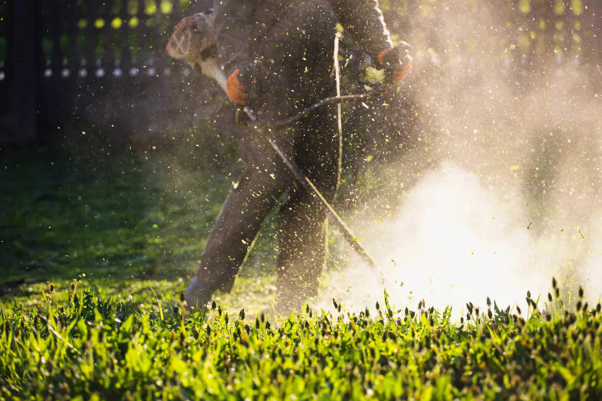 exclusive-weed-control-utah